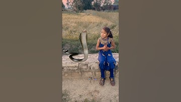 इच्छाधारी नागिन और मां बेटी की कहानी 🪱🙏 #shorts #ytshorts #emotional #nagin #viral