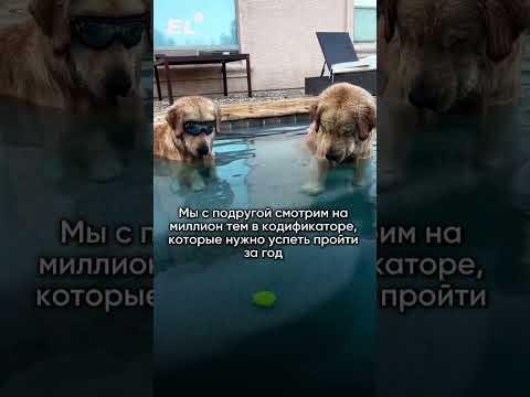 Не паникуй! Узнай, с чего начать подготовку,по ссылке в шапке😎 #егэобщество #егэ2025#обществознание