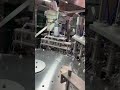 Automatic Spout Pouch Filling & Capping Machine for Juice, Puree and Jam #fillingmachine