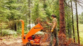 Wood Chips to Reduce Wildfire Risk and Build Soil