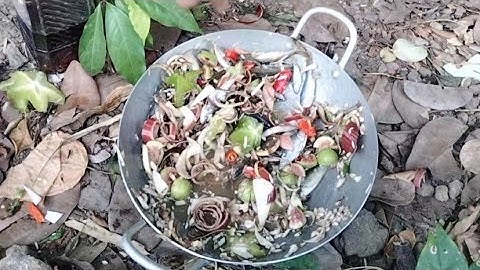 #Ăn gỏi cá sống trên rừng, phiêu lưu trong rừng l Sống với Rừng.