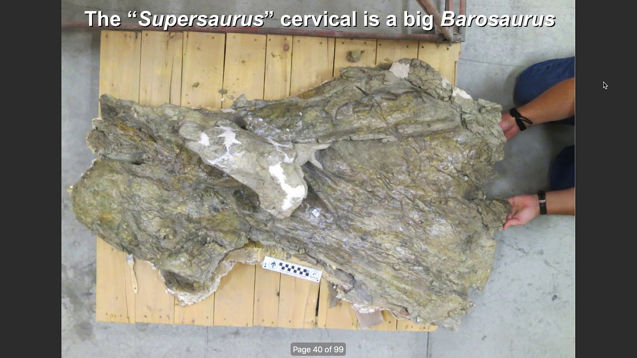 The Past, Present and Future of Jensen's "Big Three" sauropods