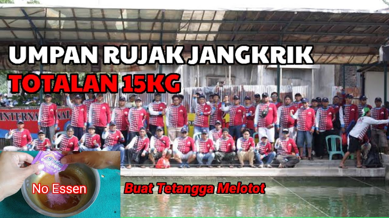UMPAN IKAN LELE || RUJAK JANGKRIK