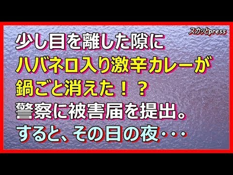 【スカッとする話】【泥ママ】少し目を離した隙に『ハバネロ入り激辛カレー』が鍋ごと消えた！→警察に被害届を提出→その日の夜・・・
