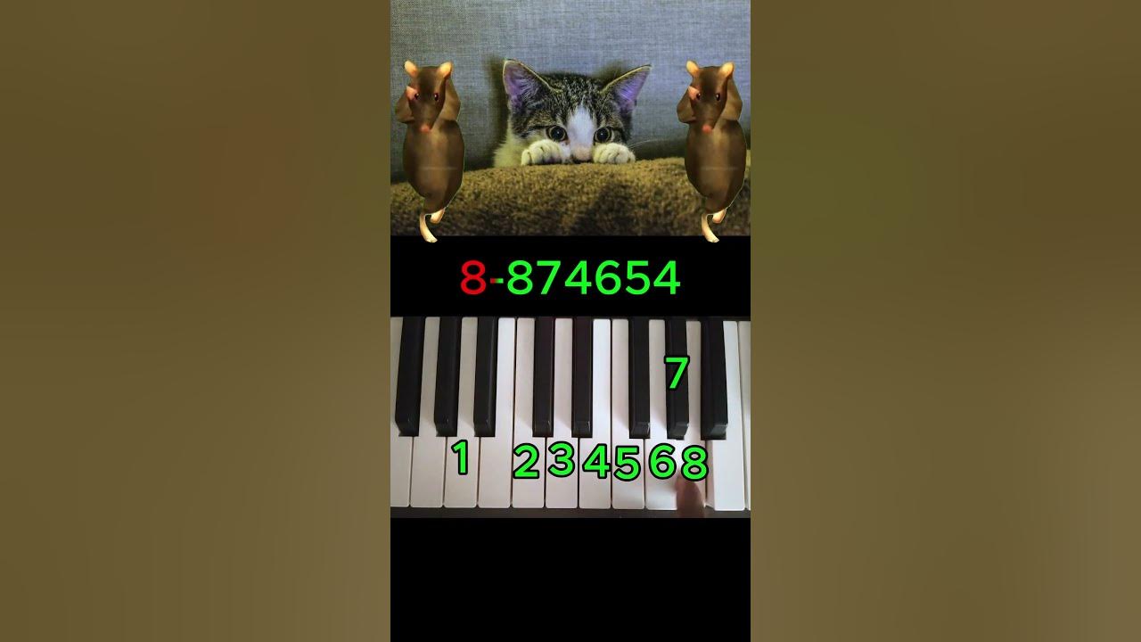 HOW TO PLAY Rat dance - Easy piano tutorial - Trending dance - #dance #