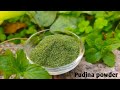         mint powder recipe at homehow to make pudina powder