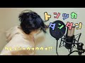 【トンツカタンタン/クレイジーウォウウォ!!】歌ってみた/mi-no