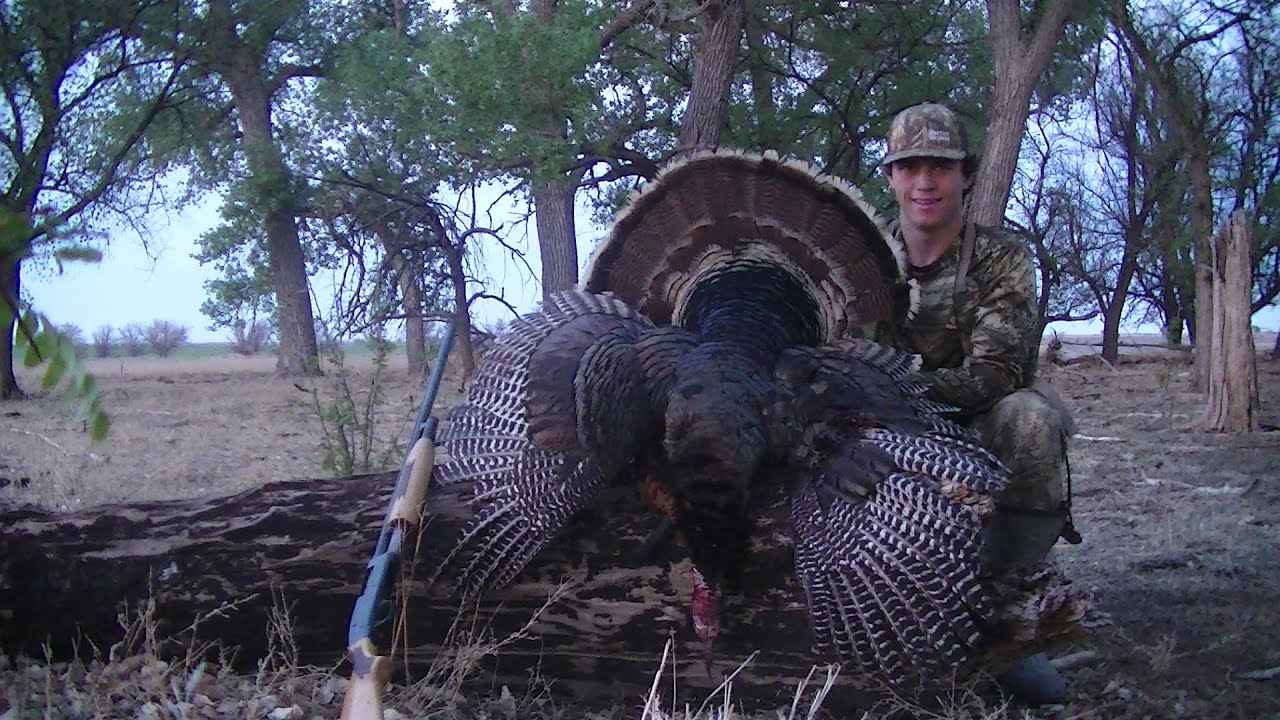 Colorado Turkey Hunt 2020 YouTube colorado-turkey-hunt-2020-youtube