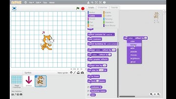 Scratch Programming: Introduction to Looks Block in Urdu