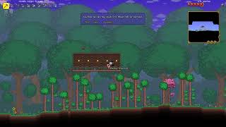 Terraria No Traps Hardcore Master Mode - 7:41.23 - One Sitting - No Save and Exit - 07/06/2025