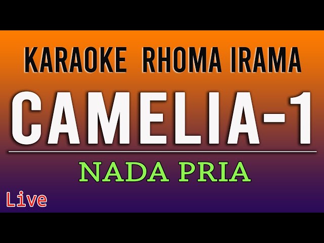 CAMELIA KARAOKE RHOMA IRAMA class=