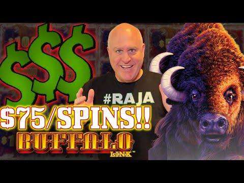 HIGH LIMIT BUFFALO LINK JACKPOT HANDPAYS! 🪙 UP TO $75 SPINS!