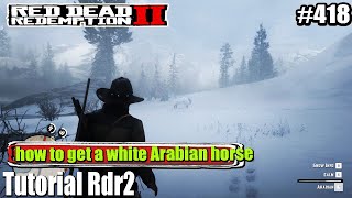 Mencari Kuda Langka Arabian | Tutorial Rdr2 | Cara Mendapatkan Kuda Langka Kuda Arabian Putih