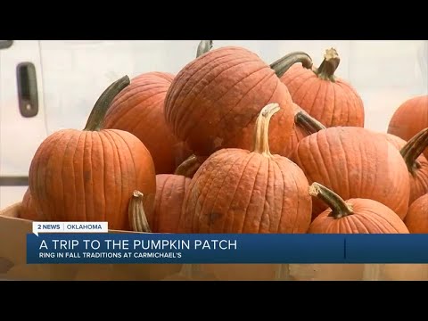 A trip to the pumpkin patch: Carmichael's
