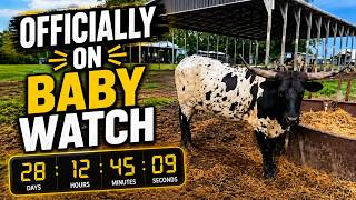 Come join us for a LIVE to see our farm animals!