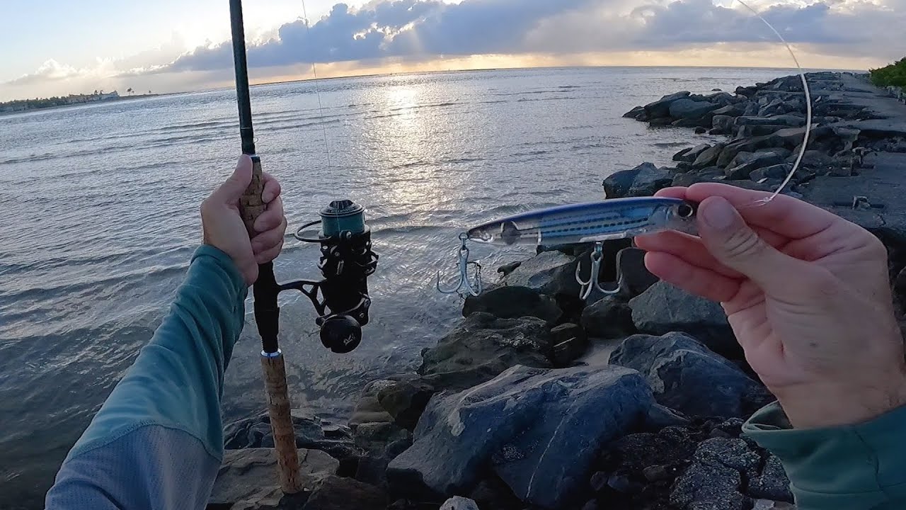 HOT Action Fishing In The Florida Summer Surf YouTube