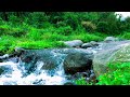 River Sounds for Sleep for Better Sleep in Natural Surroundings – Feel Inner Peace