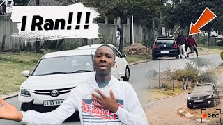 Asking For Directions Then Walking Away Kasi Edition Never Again