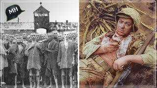 What HAPPENED when they began to DISCOVER the concentration camps in WWII?