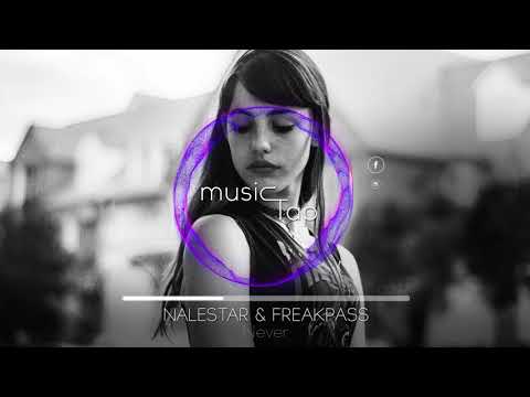 Nalestar & Freakpass - Never Nalestar & Freakpass - Never