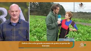 Vedra. Grelos Maribel Cardama