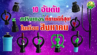 10 อันดับ สปริงเกอร์ที่ขายดีที่สุด!! ในเดือนสิงหาคม !