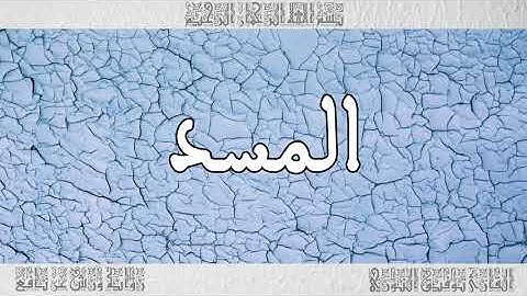 القرآن القارئ توفيق النوري سورة المسد 111