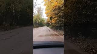 "Моя мелодія ",це наше життя.  Пісня,   яка є підтвердженням  цьому...