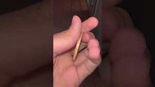 IMG 5608