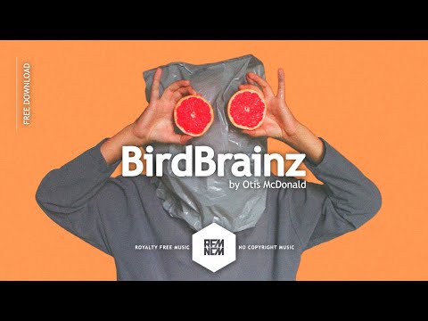 BirdBrainz - Otis