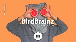 BirdBrainz - Otis McDonald | Royalty Free Music - No Copyright Music | YouTube Music