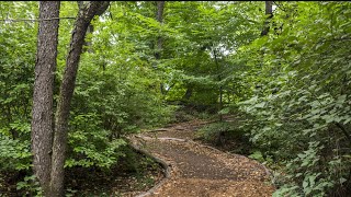 Stroll in the Hallett Nature Sanctuary