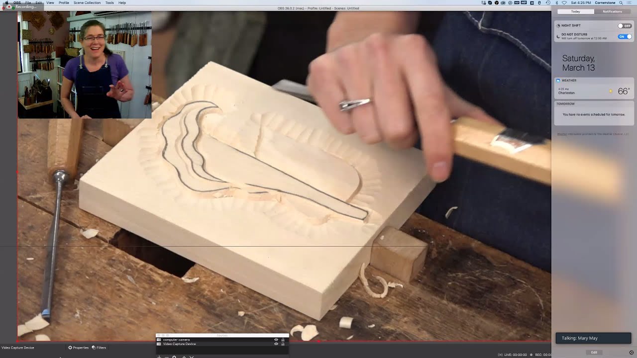 WOODCARVING BASICS with Mary May