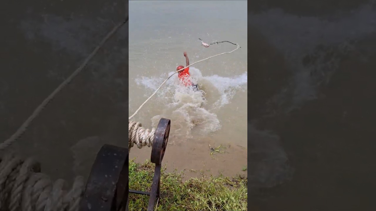 Big fish Bait hunting by 40 kg fish 