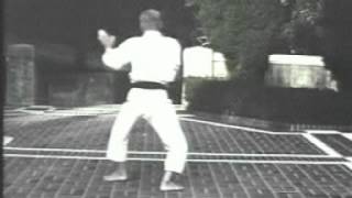 Hironori Otsuka Sensei - Niseishi