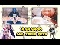 Mamamoo and their pets