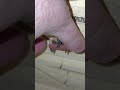 A quick ceramics lesson!