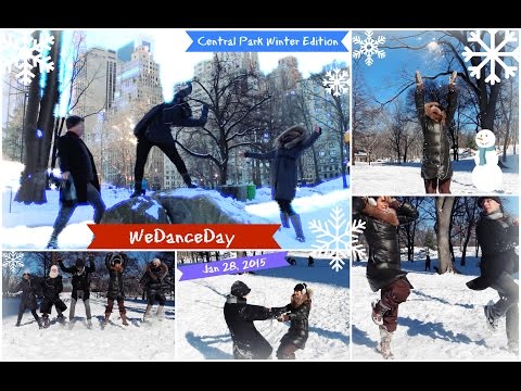 Timeflies - "Let It Go" Remix #WeDanceDay @ Central Park (Winter Edition)
