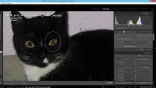 Curso Intensivo de Photoshop Lightroom 18 - Corrección de ojos y Alto rango dinámico