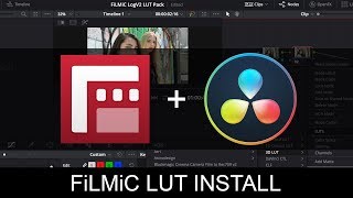 FiLMiC Pro LUT Pack Davinci Resolve Install Tutorial (Mac & Windows) screenshot 4
