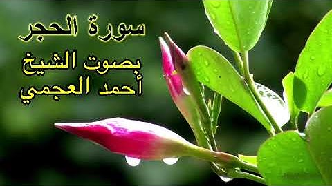 سورة الحجر بدون اعلانات بصوت الشيخ احمد العجمي