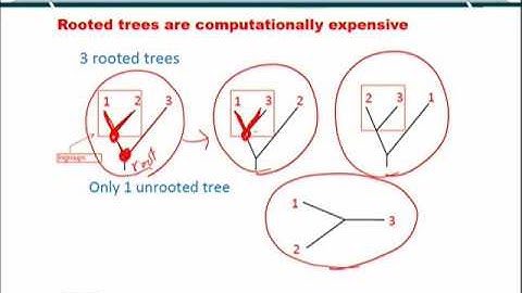 Topic 79 (BIF401 - Bioinformatics I)