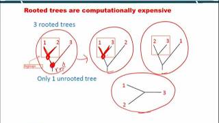 Topic 79 (BIF401 - Bioinformatics I)