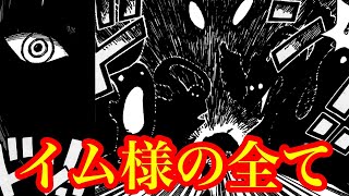 ネロナ•イム 驚愕の正体とは…!? 能力は○○○○の実で確定か… 謎に包まれる105巻の表紙の真実とは…【ワンピースネタバレ】【ワンピース最新話考察】