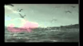 Aldı Gitti Yasemin Göksu Youtube