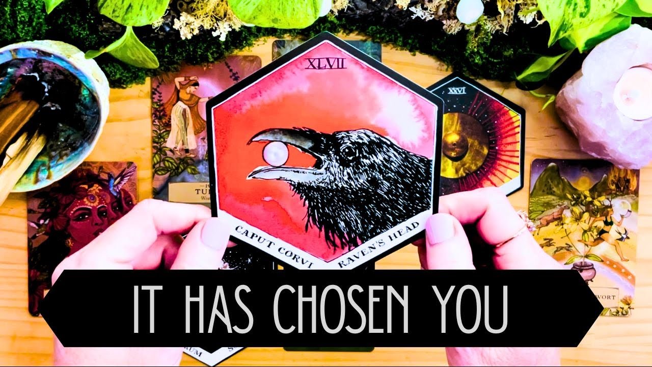 if you see this 👀 YOU HAVE BEEN CHOSEN