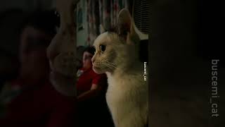 tag a mate who look like #shorts #viral #youtube