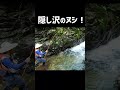 隠し沢のヌシが釣れた! #shorts