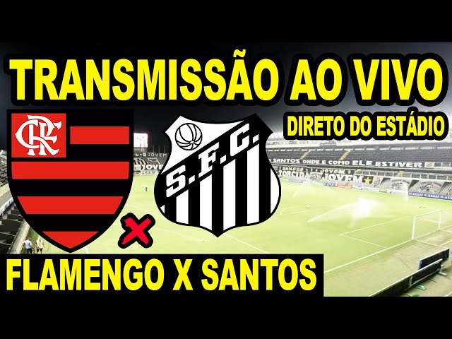 Flamengo x Santos ao vivo: acompanhe o jogo pelo Campeonato Brasileiro