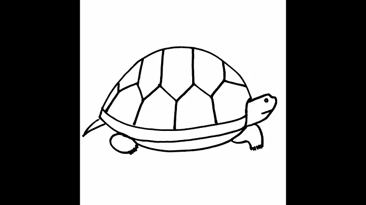Drawing a turtle